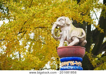 White elephant statue against yellow trees in China
