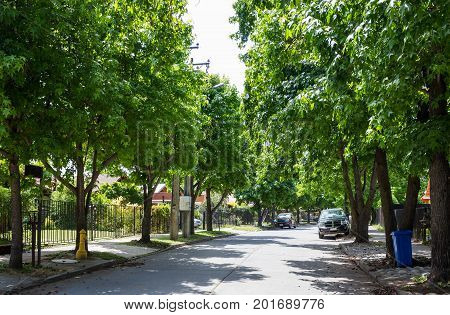 Street In Talca