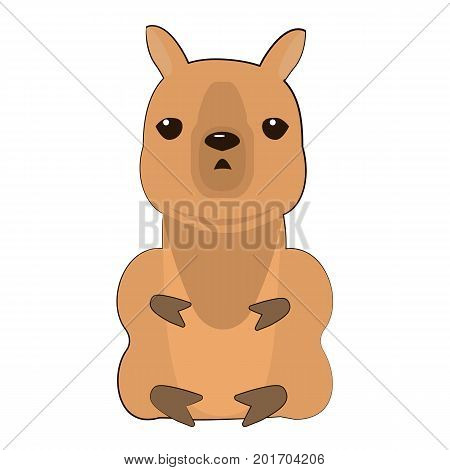 Alpaca. Vector flat for print. Vector cute Alpaca. Llama animal. Cute baby alpaca.