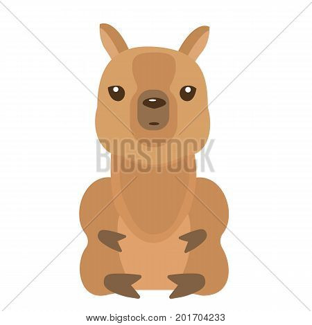 Alpaca. Vector flat for print. Vector cute Alpaca. Llama animal. Cute baby alpaca.