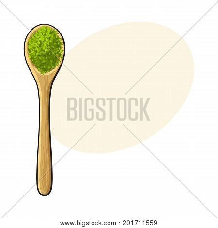 Top view drawing of bamboo, wooden spoon with matcha green tea powder, sketch style vector illustration with space for text. Realistic hand drawing of matcha green tea powder in wooden spoon