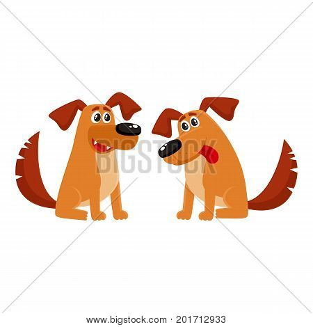 Two funny sitting dog characters, one talking, another listening with tongue out, cartoon vector illustration isolated on white background. Couple of funny sitting dog characters