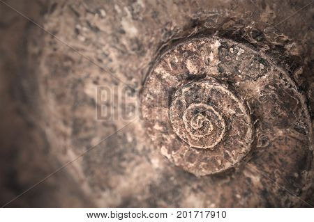 Spiral stone background. Natural material in ancient nature