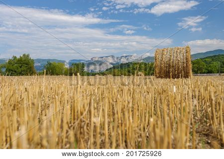 French countryside with agricultural hay fields and rolled hay bales. In the background the mountains of the Alps and the provence
