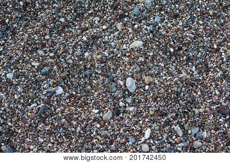 Abstract background with pebbles. Round sea multicolored stones. Small pebbles.