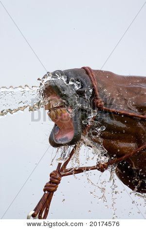 agua y nariz de caballo