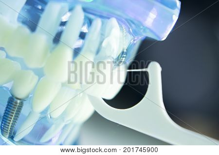 Dental Floss Cleaning Teeth