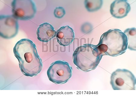 Dividing cells on colorful background, 3D illustration