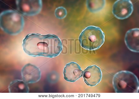 Dividing cells on colorful background, 3D illustration