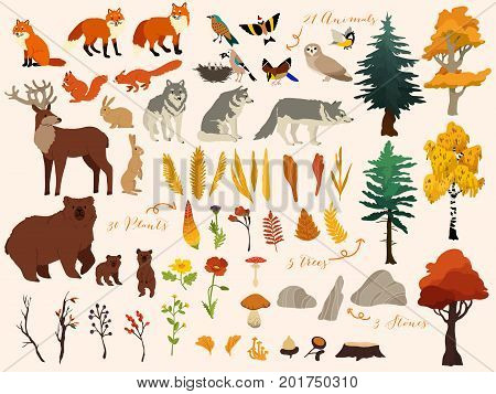 Set of cute autumn forest elements - animals, trees and other. Vector decorative cute illustration for design
