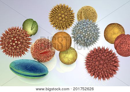 Pollen grains from different plants, 3D illustration. They are factors causing hay fever and allergic rhinitis