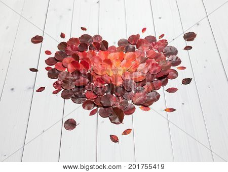 Autumn heart from bright red, vinous and orange leaves lying flat on the white wooden background, perspective side view.