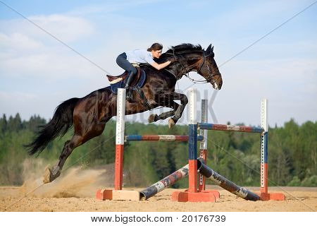 Visualizza-jumping (salto)