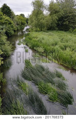River Avon in Chippenham Wiltshire From Gladstone Road Bridge