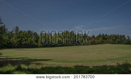 Green meadow in south Bohemia in sunny day