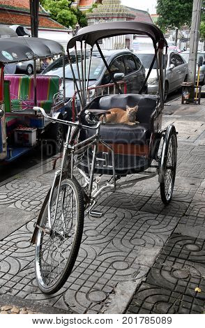Famous three wheeled taxi in Thailand - tuk tuk motorcycle. CNG powered machine. A red cat is sitting in the tuktuk.