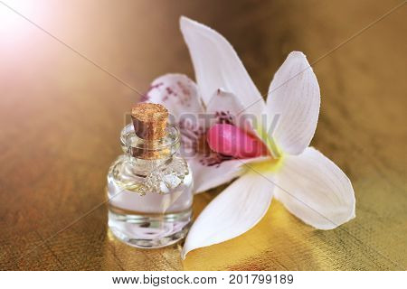 Bottle Of Essential Oil And Orchid Flowers