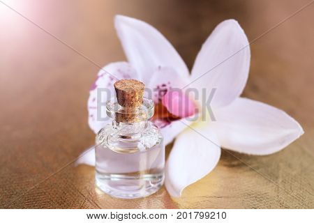 Bottle Of Essential Oil And Orchid Flowers