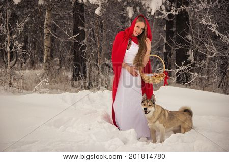 Girl in costume Little Red Riding Hood with dog like a wolf and a basket with apples and pies in the winter in the woods in the snow