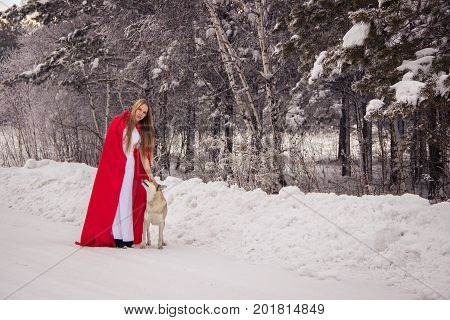 Girl in costume Little Red Riding Hood with dog like a wolf and a basket with apples and pies in the winter in the woods in the snow