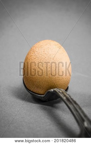 Hen egg in spoon on gray background