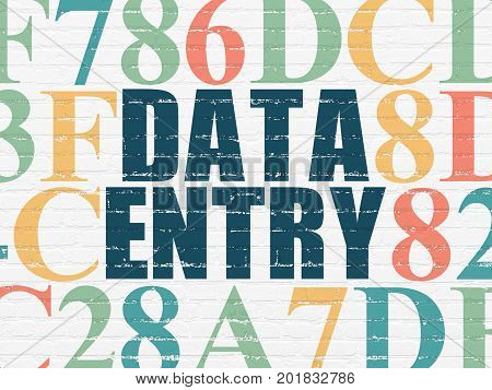 Data concept: Painted blue text Data Entry on White Brick wall background with Hexadecimal Code