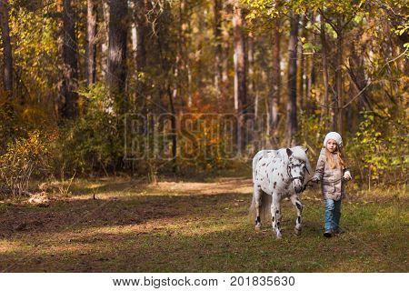 Little Cute Girl Walking With A Pony In The Autumn Forest