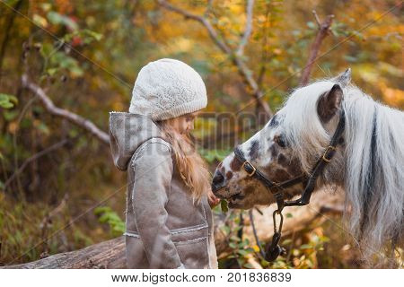Little Cute Girl Walking With A Pony In The Autumn Forest