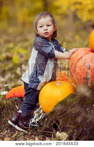 In the forest, autumn, girl age 2 years old standing next to two pumpkins. Preparing for the holiday Halloween.