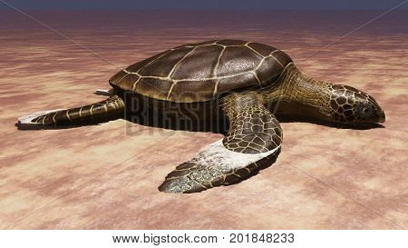 Sea turtle laying eggs on the beach 3d rendering