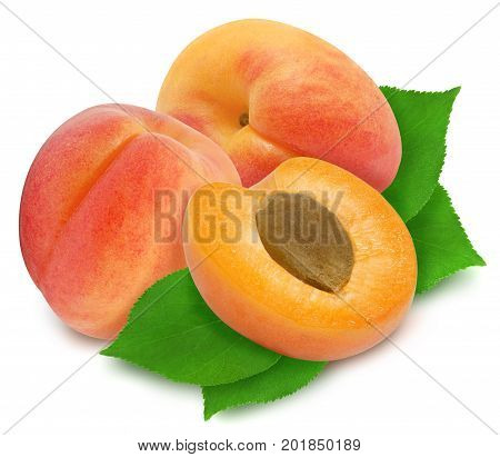 Three fresh apricots with green leaves isolated on white background. One slice with core. Design element for product label, catalog print, web use.