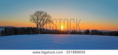 Snowy winter Christmas Landscape.Winter sunset over the snow-covered tree.