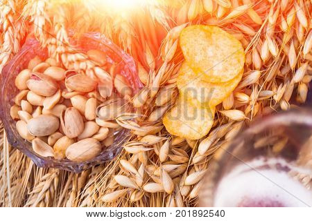 Pistachio nuts, peanuts and potato chips a snack for beer lying in a glass dish surrounded by ingredients for making malt for beer, bread. Spikes of wheat, barley, oats, rye.