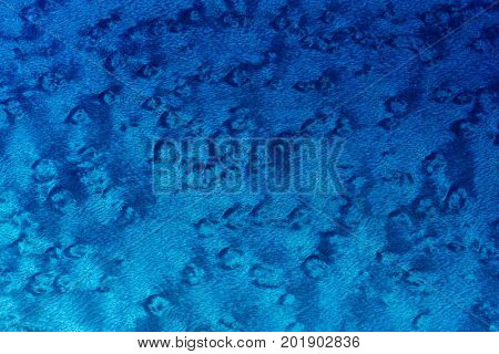 Birds eye maple texture (Sugar maple/ Acer saccharum ) . Blue stained color. Prized wood for its Visual appearance. Often used on Guitars and fine furniture.Also know as figured maple.