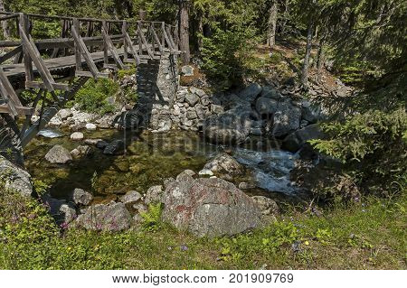 Beautiful view of coniferous forest, river Iskar and wooden bridge in  Rila mountain, Bulgaria, Europe