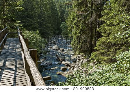 Beautiful view of coniferous forest, river Iskar and wooden bridge in  Rila mountain, Bulgaria, Europe