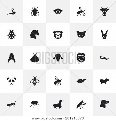 Collection Of Housefly, Diver, Ape And Other Elements.  Set Of 25 Animal Icons Set.