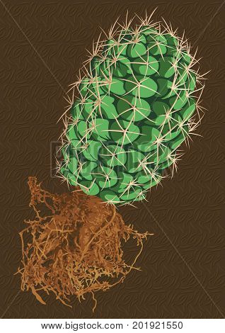 Vector prickly cactus with brown root on brown background.