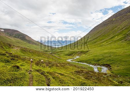 beautiful mountain range and landscape near Dalvik in Iceland.