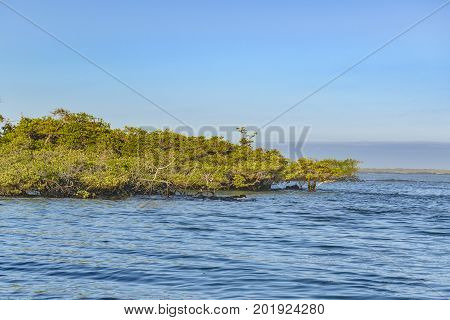 Seascape At Isabela Island, Galapagos, Ecuador