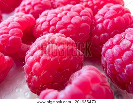 A close-up of a number of red and fresh raspberries