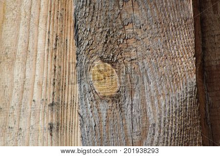Old wooden board - background for design, close up