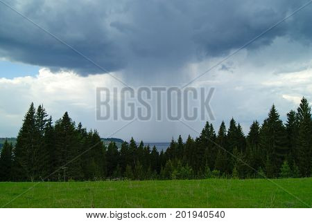 Spring forest glade on top of a hill with rain coming over the river from a thundercloud in the background