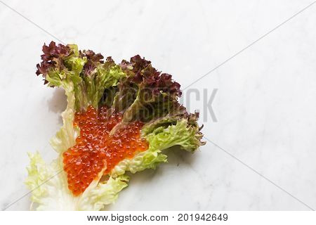 Top view of red caviar on a salad leaf on a light marble background. copy space, Top view.