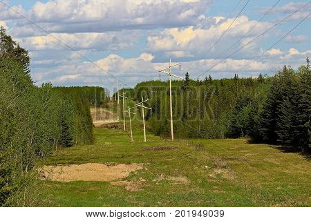 A power cutline in rural Alberta through bush