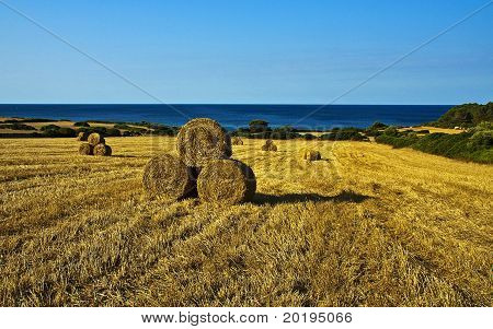 Balas de paja