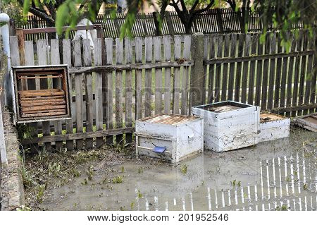The consequences of flooding flooded destroyed bee hives
