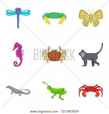 Grasshopper icons set. Cartoon set of 9 grasshopper vector icons for web isolated on white background