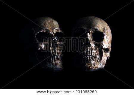 Halloween Skull. Spooky Halloween Skull isolated on black.  