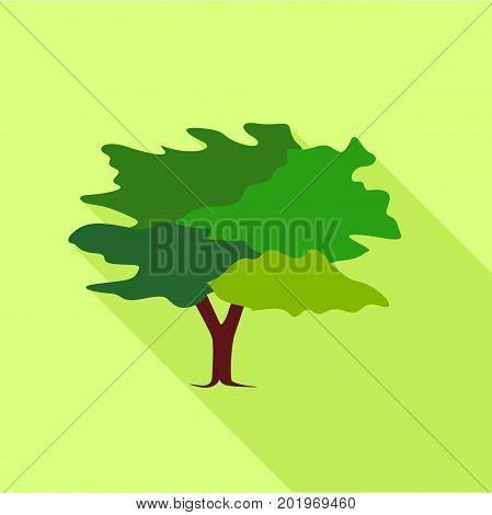 Tree icon. Flat illustration of tree vector icon for web